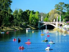 Captain Jolleys Paddle Boats - Events Australia 0