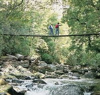 Arve Forest Drive - Events Australia