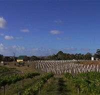 Deep Creek Wines and Alpacas - Accommodation Europe