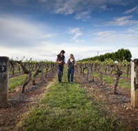 Coonawarra Wineries Walking Trail - Events Australia