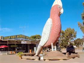  Events Australia