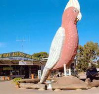 The Big Galah - Events Australia