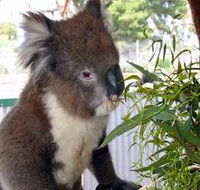 Glen-Forest Tourist Park - Events Australia