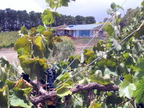 Zimmermann Wine - Events Australia 0
