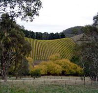 Mt Bera Vineyards - Events Australia