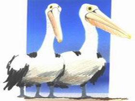 Bay Of Shoals Wines - Events Australia 0