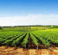 Aldinga Bay Winery - Events Australia