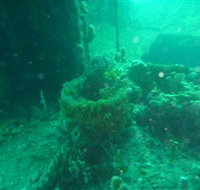 Wallaroo Scuba Club - Events Australia