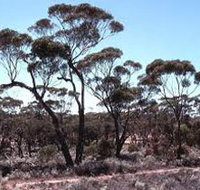 Clements Gap Conservation Park - Events Australia