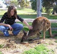 Pendleton Farmstay - Events Australia