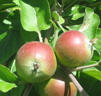 Sage Cooking School - Accommodation Europe