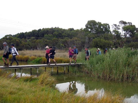 Lavender Federation Trail - Events Australia 1