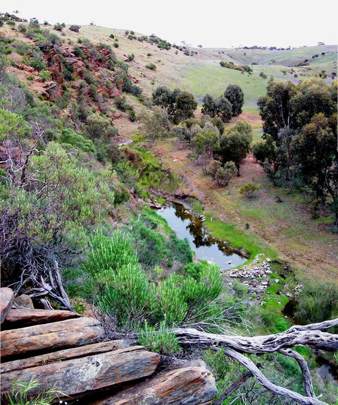 Lavender Federation Trail - Events Australia 3