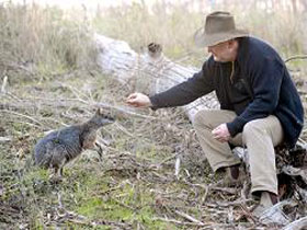 Sinclair's Gully - Events Australia 0