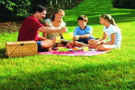 Bruny Island Berry Farm - Events Australia 0