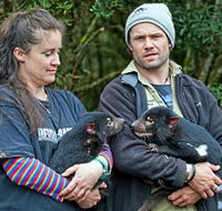 devilscradle - Events Australia