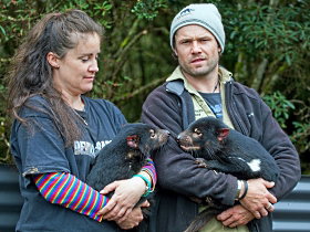 Devils@cradle - Events Australia 0