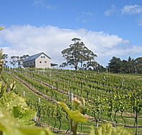 Bruny Island Premium Wines Bar and Grill - Events Australia
