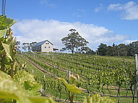 Bruny Island Premium Wines Bar And Grill - Events Australia 0