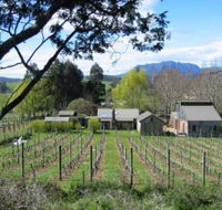 Wilmot Hills Vineyard - Events Australia