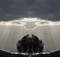 aart. Gallery of Fine Art - Events Australia