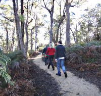 Bridport Walking Track - Events Australia