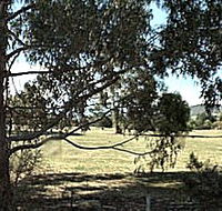Cygnet Public Golf Course - Events Australia
