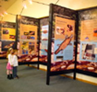 Platypus Experience - Events Australia