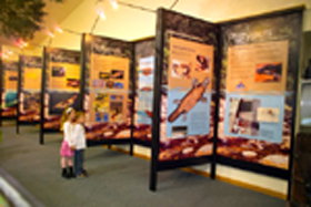 Platypus Experience - Events Australia 0