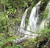 Hogarth Falls - Events Australia