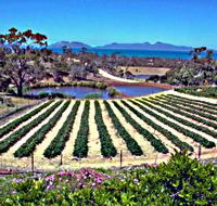 Kate's Berry Farm - Events Australia