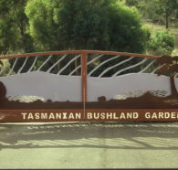 Tasmanian Bushland Garden - Events Australia