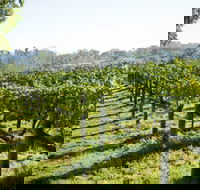 Surveyor's Hill Vineyards - Events Australia