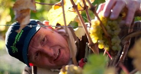 Puddleduck Vineyard - Events Australia 0