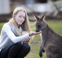 Bonorong Wildlife Sanctuary - Events Australia