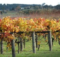 Apsley Gorge Vineyard - Events Australia