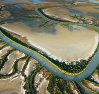 The Wilderness Gallery - Events Australia