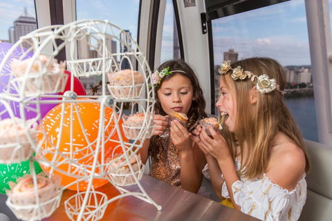 The Wheel Of Brisbane - Accommodation Europe 2