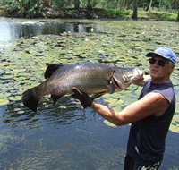 Barra Feeding - Events Australia