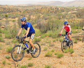 Araluen Mountain Bike Trails - Tourism Bookings 0