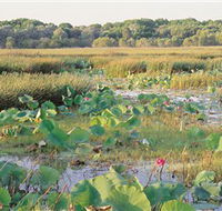 Fogg Dam Conservation Reserve - Events Australia