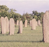 Magnetic Termite Mounds - Events Australia