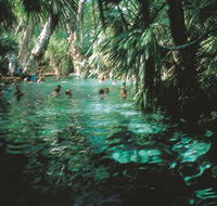 Mataranka Thermal Pool - Events Australia