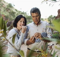 Simpsons Gap - Events Australia