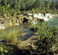 Flora River Nature Park - Events Australia