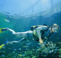 Kirra Reef Dive Site - Events Australia