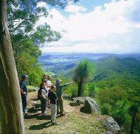 Gold Coast Hinterland Great Walk