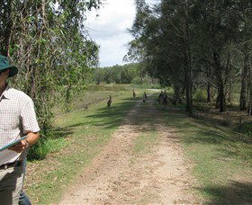 Coombabah QLD Events Australia