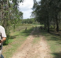 Coombabah Lakes Conservation Area - Events Australia