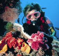Nine Mile Reef Dive Site - Events Australia